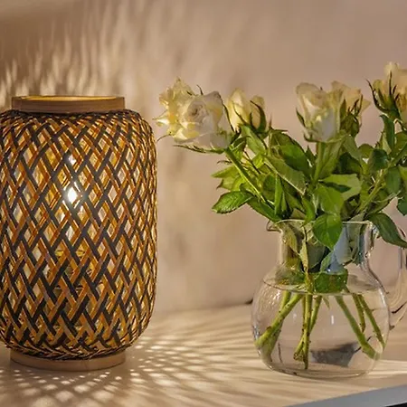 Comfort Buchhorn * Friedrichshafen