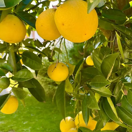 Comfort Buchhorn Appartamento